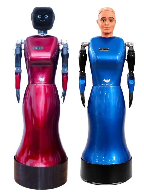 Eagle 8.0 Humanoid Robot